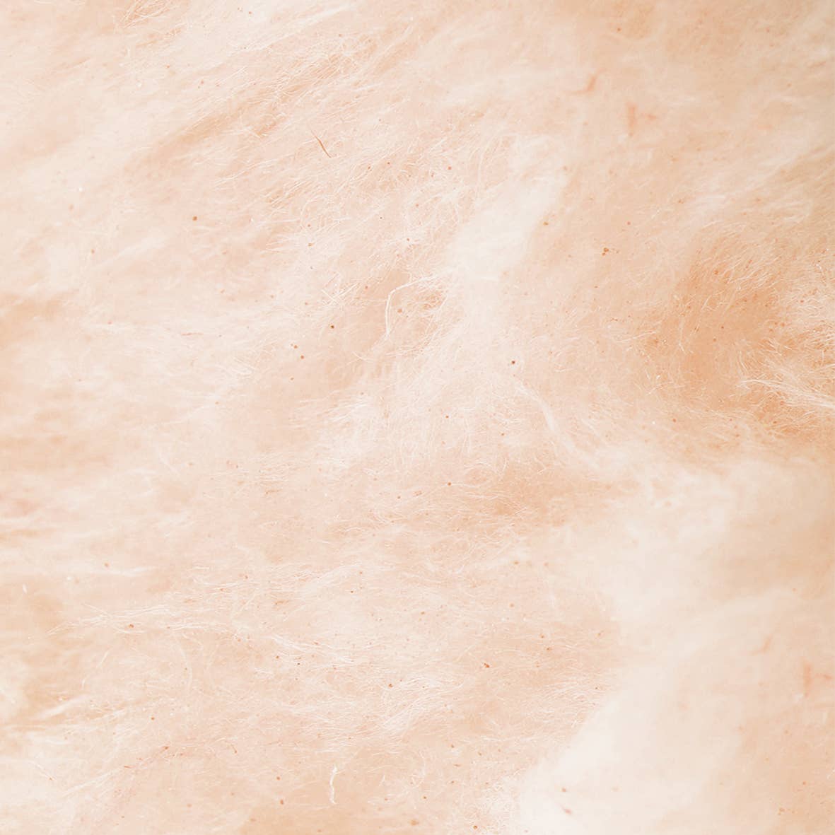 Gingerbread Cotton Candy